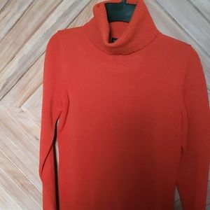 Banana Republic Fine Italian Merino Sweater